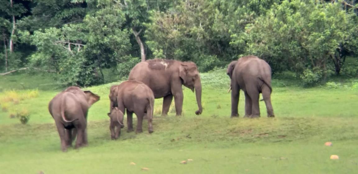 Aditi Thekkady Eksteriør billede