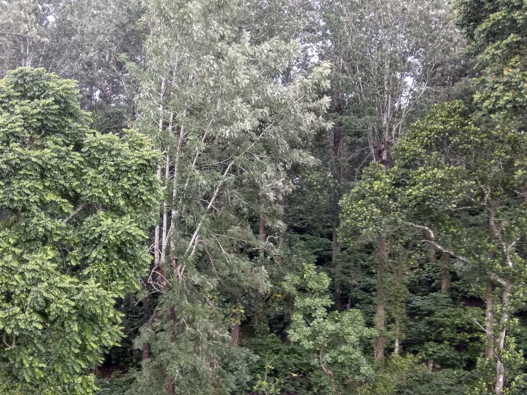 Aditi Thekkady Eksteriør billede